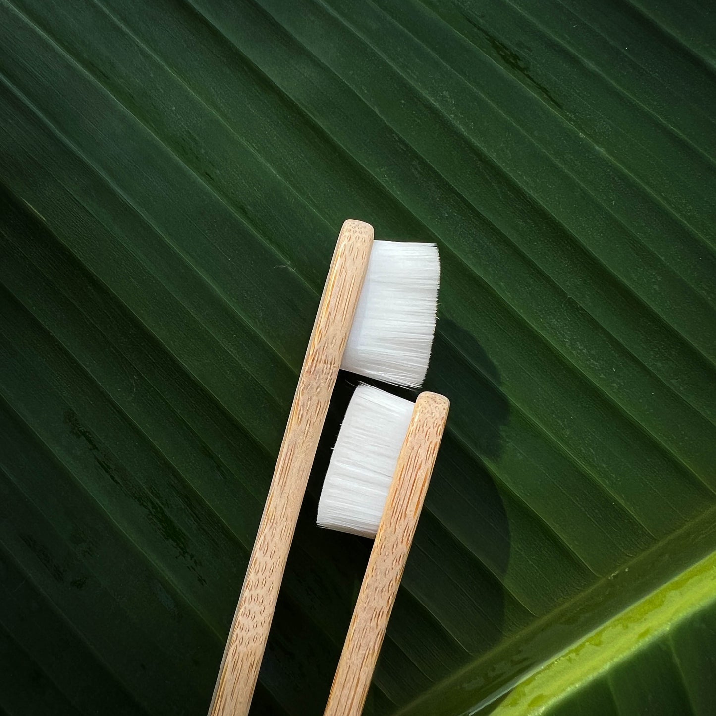 Nano Bambooclean Toothbrush Set | Natural Bamboo Handle | Ultra-Soft Flat Bristles | Scrapshala