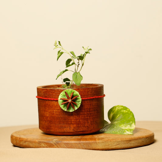 Sitara Plantable Rakhi | Eco-Friendly | Biodegradable | Handmade in Banaras | Grows Into a Plant