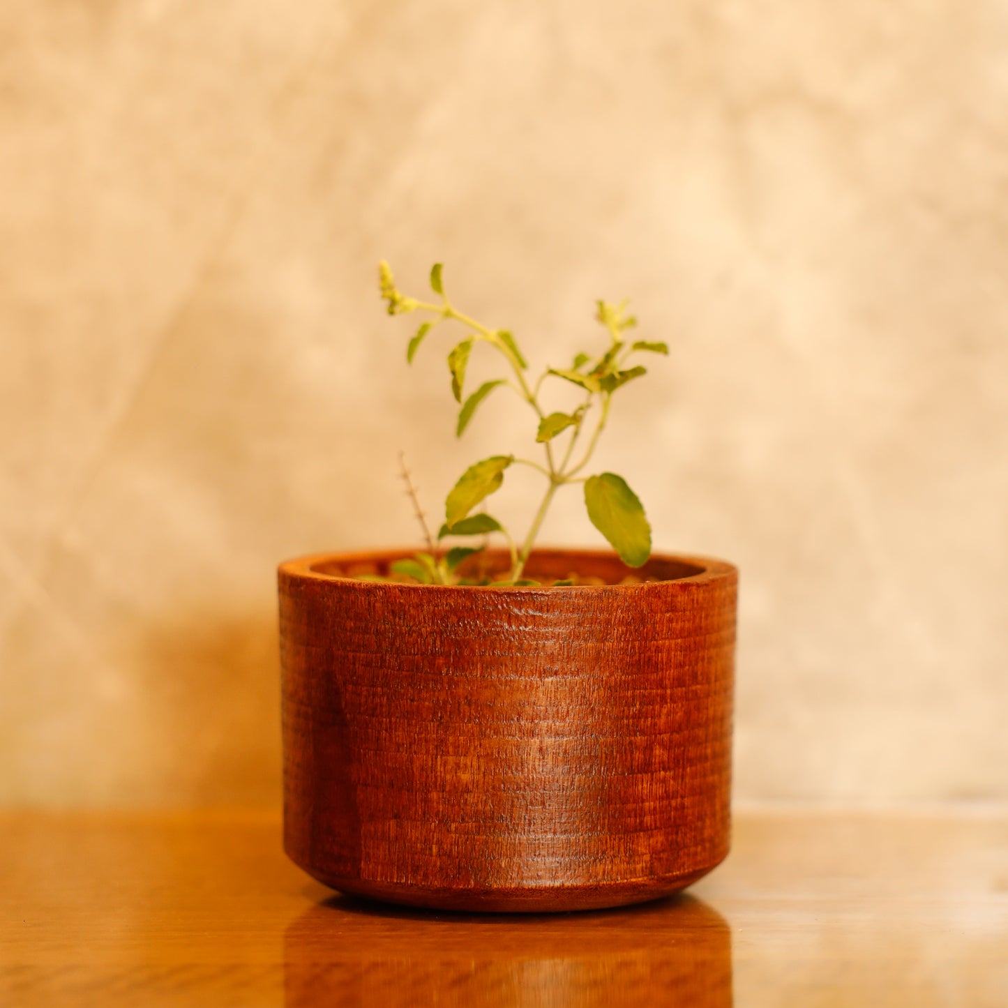 Prakriti Raksha Diwali Gift Hamper | Reclaimed Wood Planter, Plantable Seed Crackers, Seed Jars, Cocopeat & Evil Eye Décor | Sustainable Hamper Handcrafted in Banaras