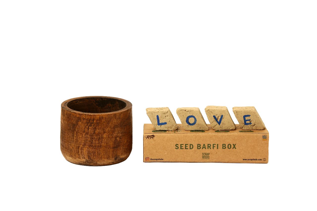Akkad-Bakkad Plantable Rakhi Gift Box | Eco-Friendly Rakshabandhan Hamper 2024 | Handmade Sustainable Gift Set by Scrapshala
