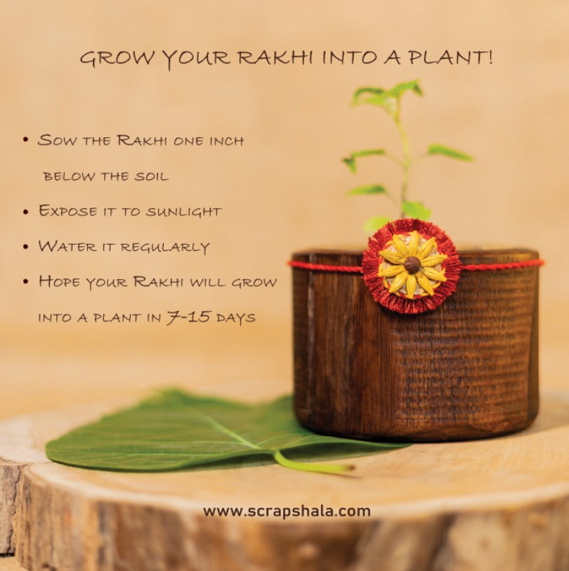 Akkad-Bakkad Sibling Box – Plantable Rakhi Gift Set | Eco-Friendly Rakshabandhan 2025 | Scrapshala