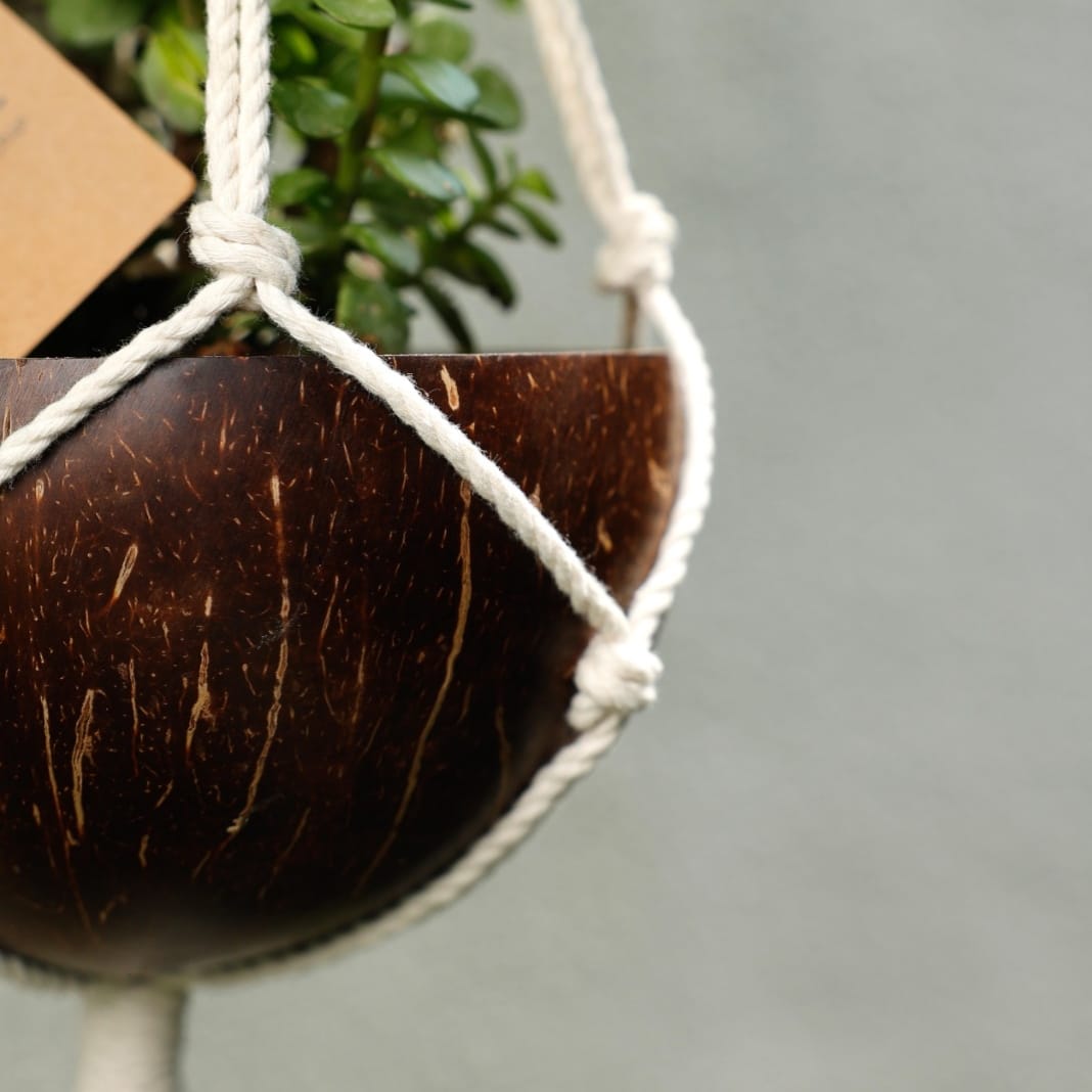Upcycled Coconut Shell Macramé Planter | Sustainable Hanging Pot for Indoor & Balcony | Green Gifting | Made in India