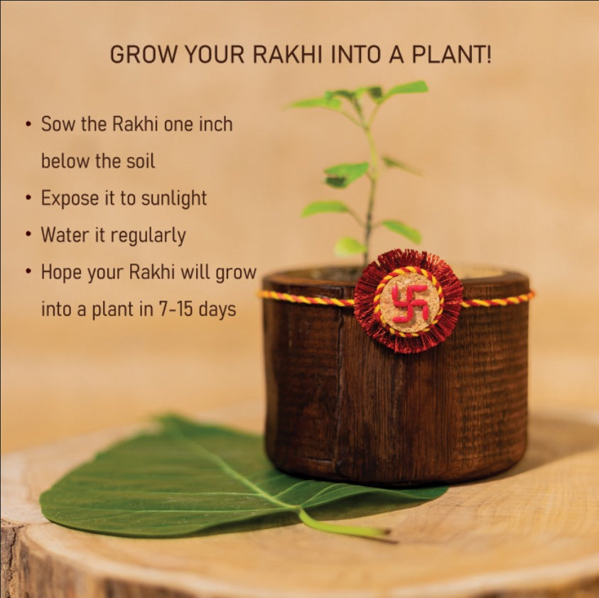 Swastik Plantable Rakhi | Eco-friendly | Soft on skin | Grows into plant | Roli-Chawal | Handmade in Banaras