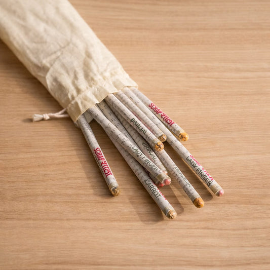 Plantable Pencil Pack (Set of 10) | Seed Pencils in Cotton Pouch | Upcycled Newspaper | Scrapshala