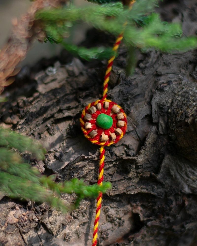 Togetherness Eco-friendly Plantable Seed Rakhi | Grows into Tulsi Plant | Soft on Skin