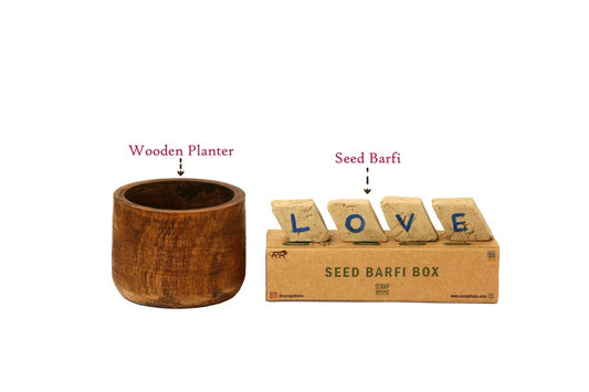 Seed Barfi Box | Eco-Friendly Plantable Gift Pack (Set of 4) | ScrapShala