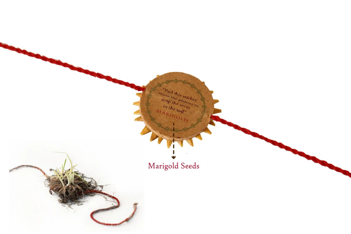 Green Rituals Rakhi Premium Gift Set | Plantable Rakhi | Zero-Waste Travel Kit | Eco-Friendly Rakshabandhan Gift | Handmade in India
