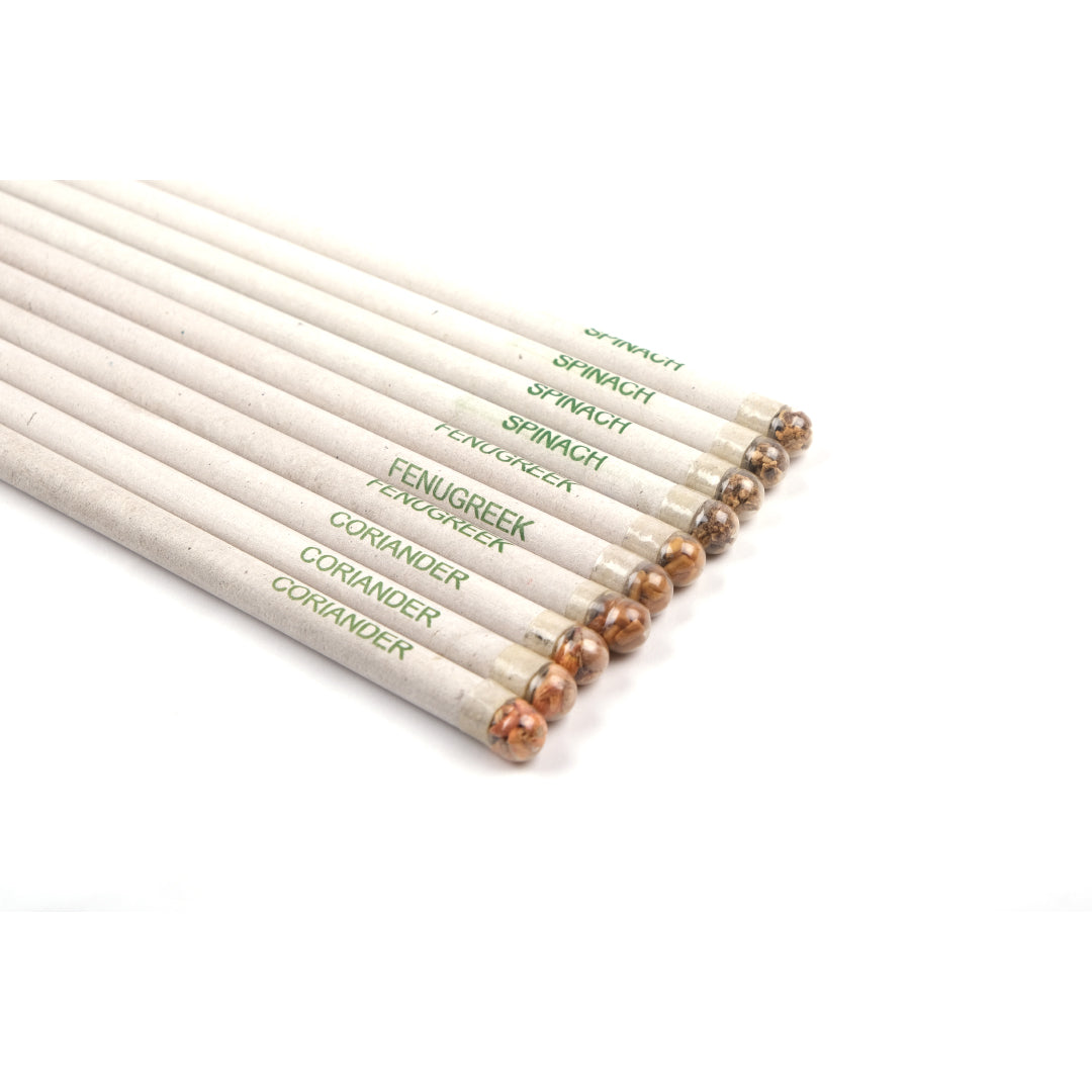 Plantable Pencil Pack | Set of 10 | 4 plantable seeds | Upcycled | Scrapshala