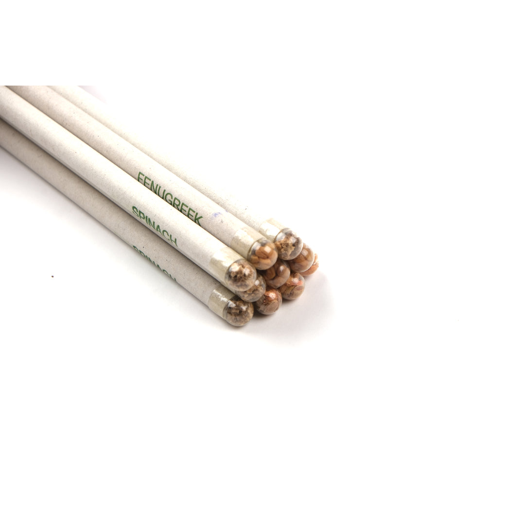 Plantable Pencil Pack | Set of 10 | 4 plantable seeds | Upcycled | Scrapshala