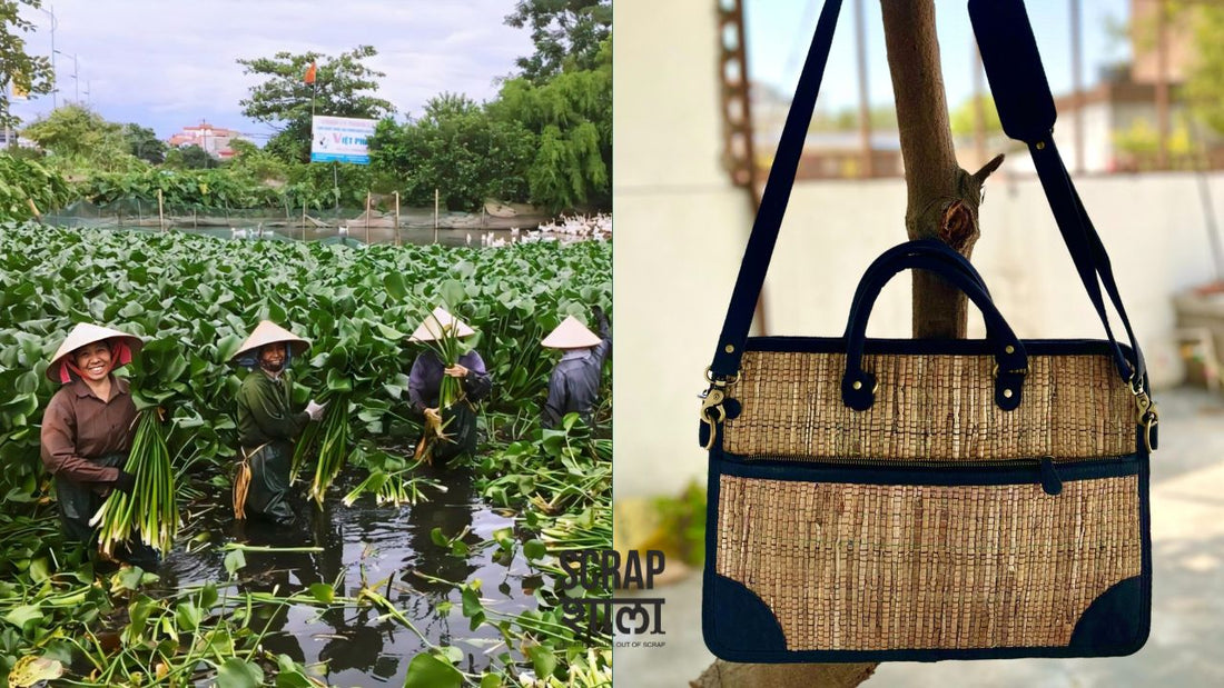 Reviving Rivers, Empowering Artisans: Water Hyacinth Upcycling Movement