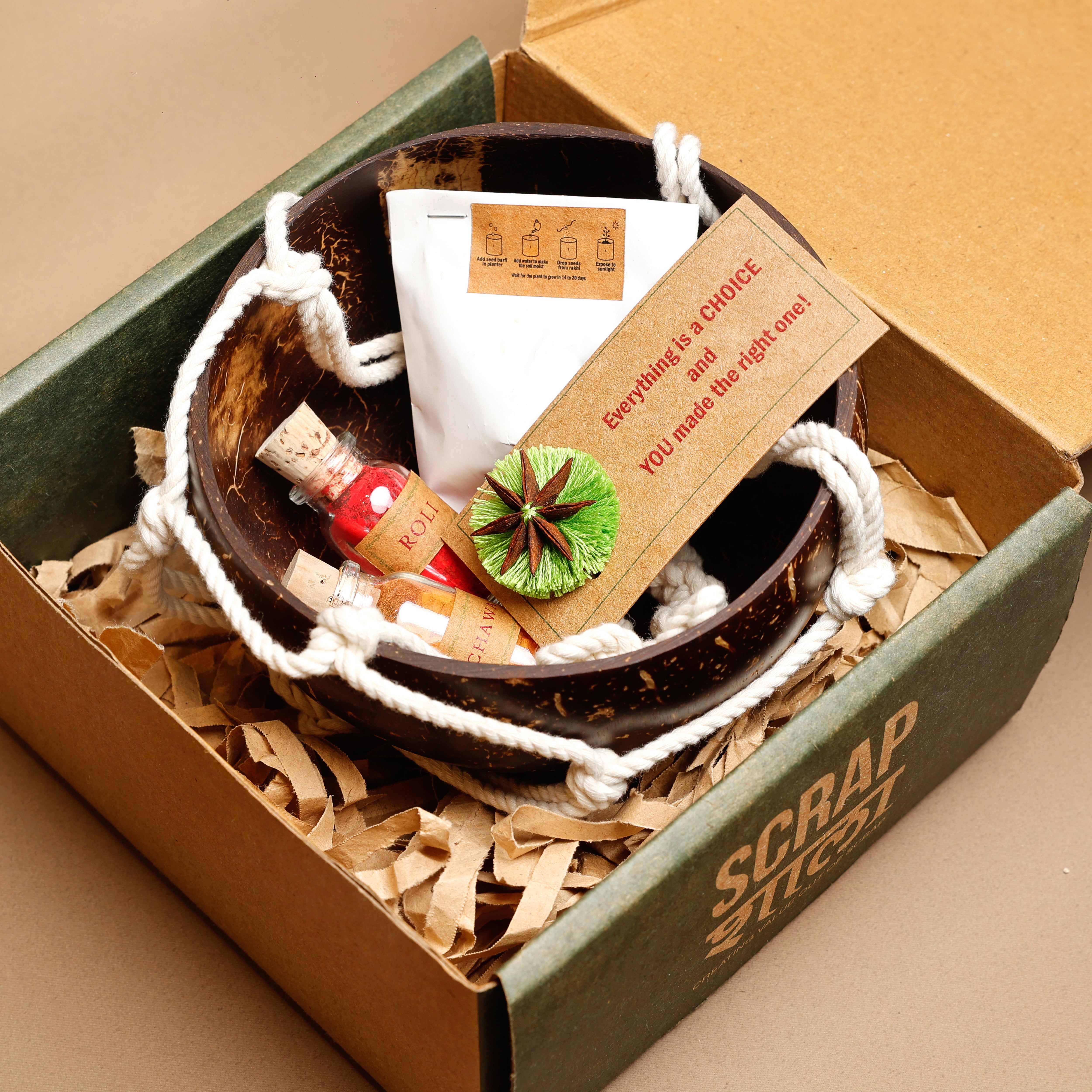Rustic Roots Rakhi Kit | Plantable Rakhi | Macrame Hanging Planter | Eco-Friendly Rakhi Hamper | Handmade Sustainable Gift for Rakshabandhan