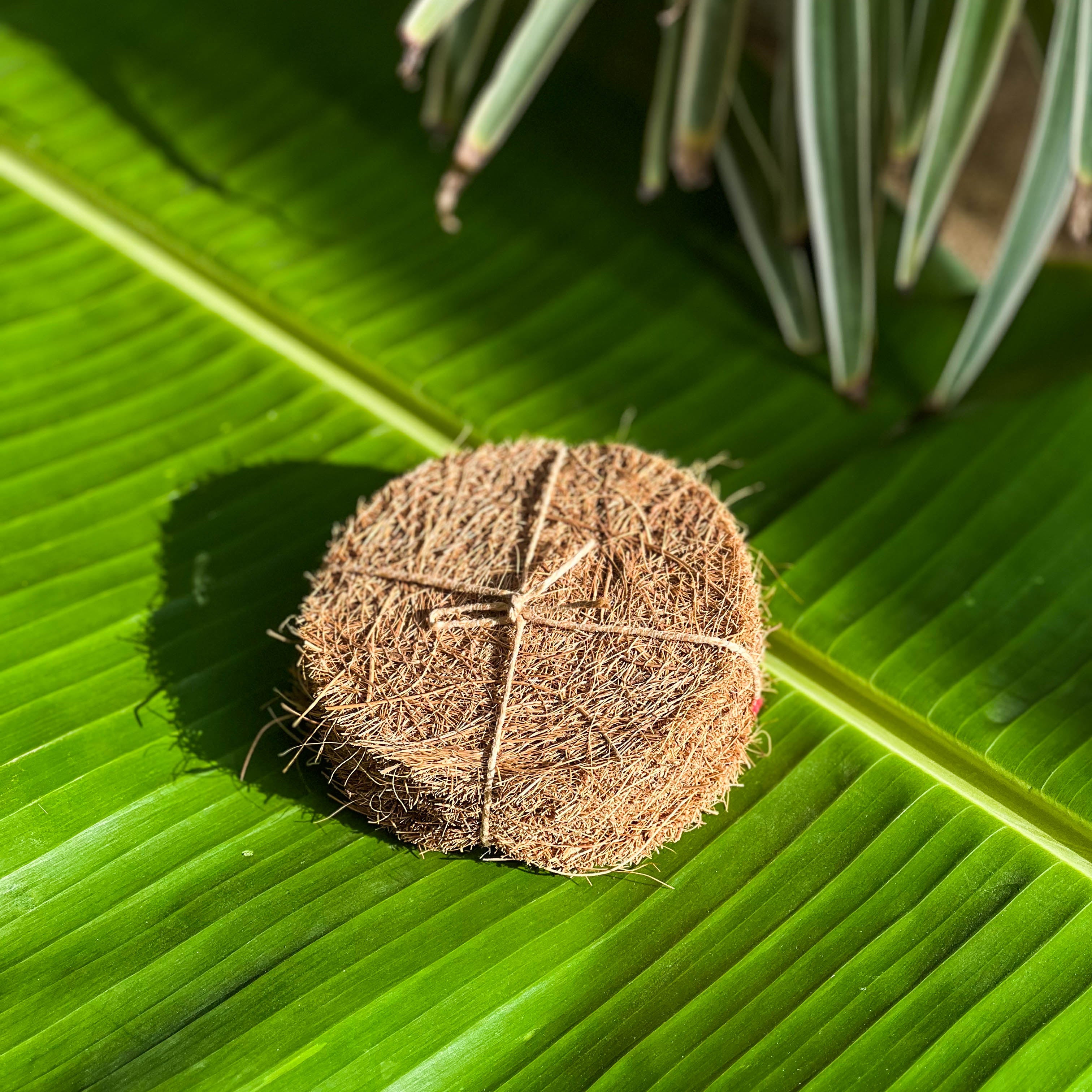 Dish Scrubber Pad | Pack of 5 | Natural Coir | Sturdy | Biodegradable | Plastic-free | Scrapshala