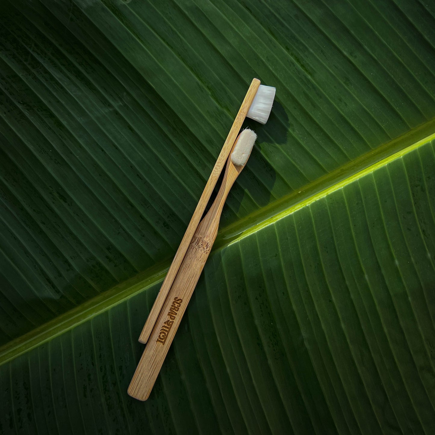 Nano Bambooclean Toothbrush Set | Natural Bamboo Handle | Ultra-Soft Flat Bristles | Scrapshala