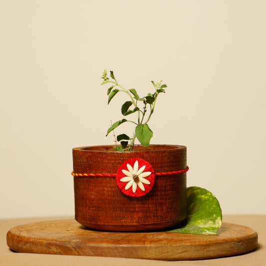 Beejbandhan Plantable Rakhi | Eco-Friendly | Soft on Skin | Grows Into Plant | Handmade in Banaras