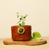 thumb-images