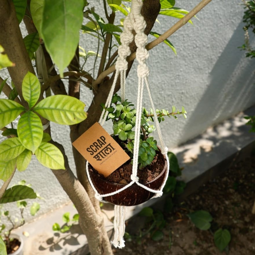 Upcycled Coconut Shell Macramé Planter | Sustainable Hanging Pot for Indoor & Balcony | Green Gifting | Made in India