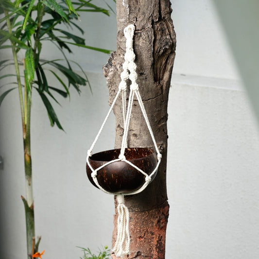 Upcycled Coconut Shell Macramé Planter | Sustainable Hanging Pot for Indoor & Balcony | Green Gifting | Made in India