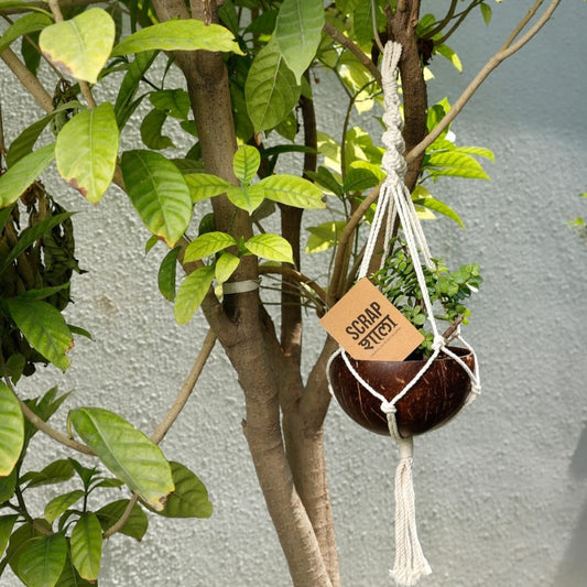 Upcycled Coconut Shell Macramé Planter | Sustainable Hanging Pot for Indoor & Balcony | Green Gifting | Made in India