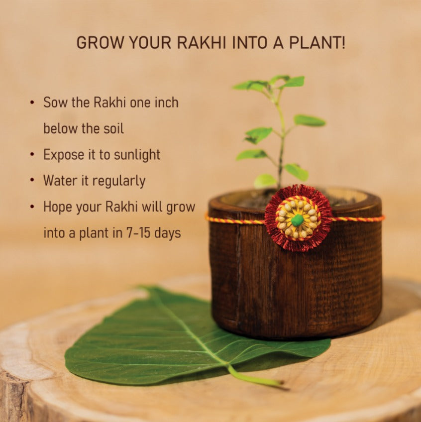 Sneh Plantable Rakhi | Eco-friendly | Soft on skin | Grows into plant | Roli Chawal | Handmade in Banaras