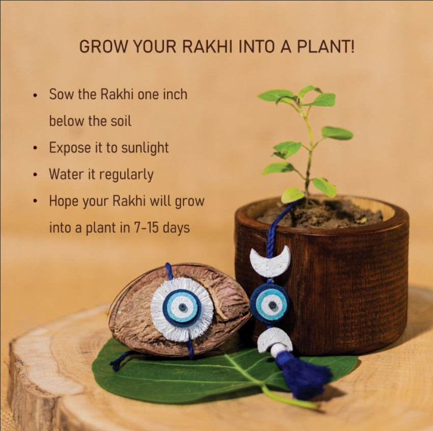 Nazarbattu Premium Rakhi Box | Plantable rakhi and lumba set | Wooden planter | Planting material | Roli-Chawal | Seed ball | Greeting card | Handmade in Banaras