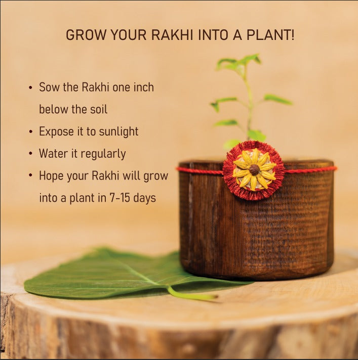Akkad-Bakkad Premium Rakhi Box | Set of 2 plantable rakhi | Wooden planter | Planting material | Roli-Chawal | Seed ball | Greeting card | Handmade in Banaras