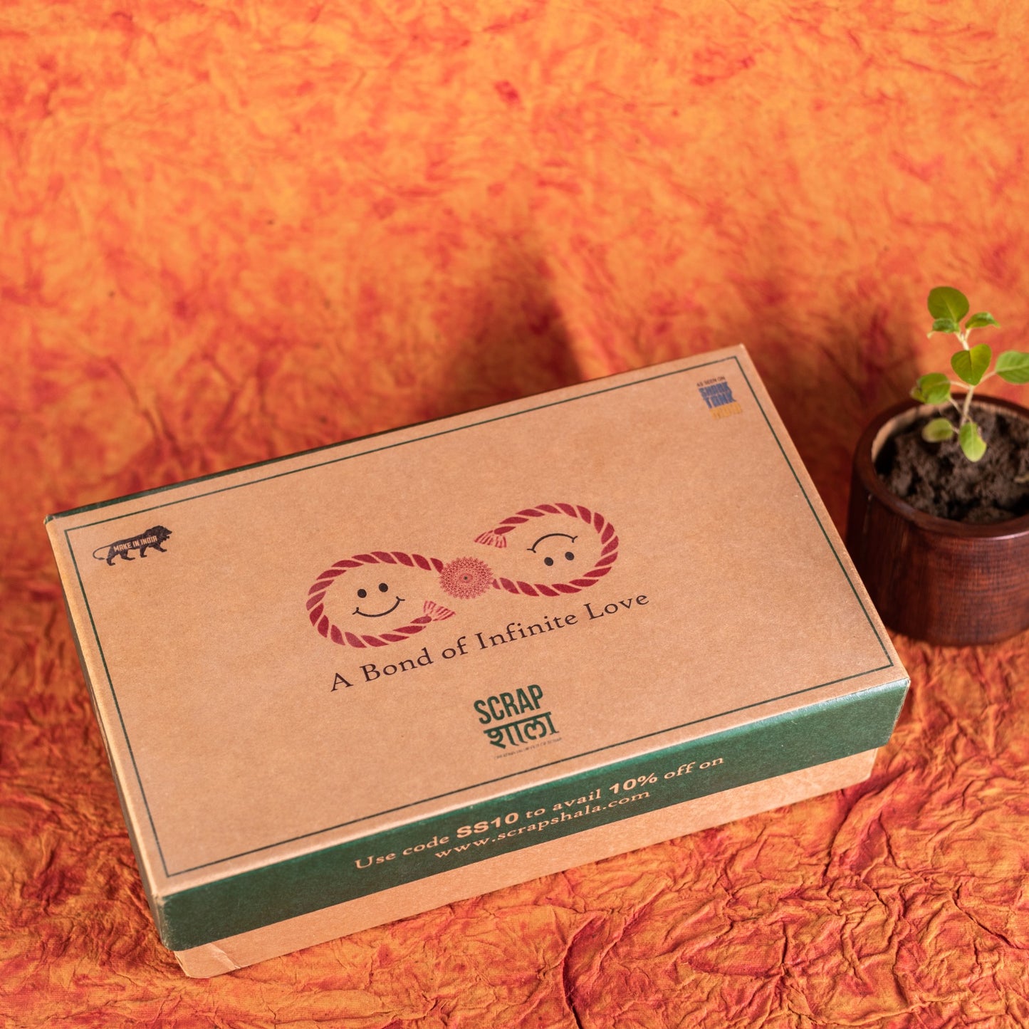 Akkad-Bakkad Rakhi Gift Box | Set of 2 plantable rakhi | Bamboo speaker | Wooden planter | Planting material | Roli-Chawal | Seed ball | Greeting card | Handmade in Banaras