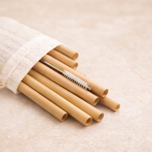 Bamboo Drinking Straws (Set of 10) | Reusable, Biodegradable & Eco-Friendly | With Straw Cleaner Brsuh & Cotton Pouch
