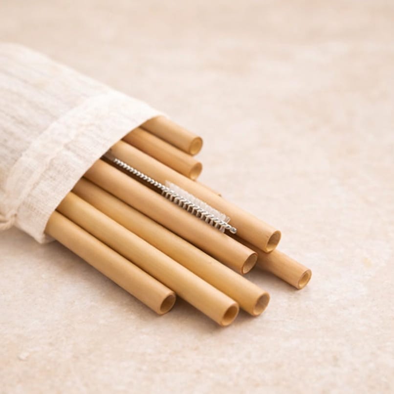 Bamboo Drinking Straws (Set of 10) | Reusable, Biodegradable & Eco-Friendly | With Straw Cleaner Brsuh & Cotton Pouch