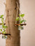 Mini Jar Hanging Planter | Strong hanging jute rope | Easy to open | Light weight | Upcycled | Scrapshala