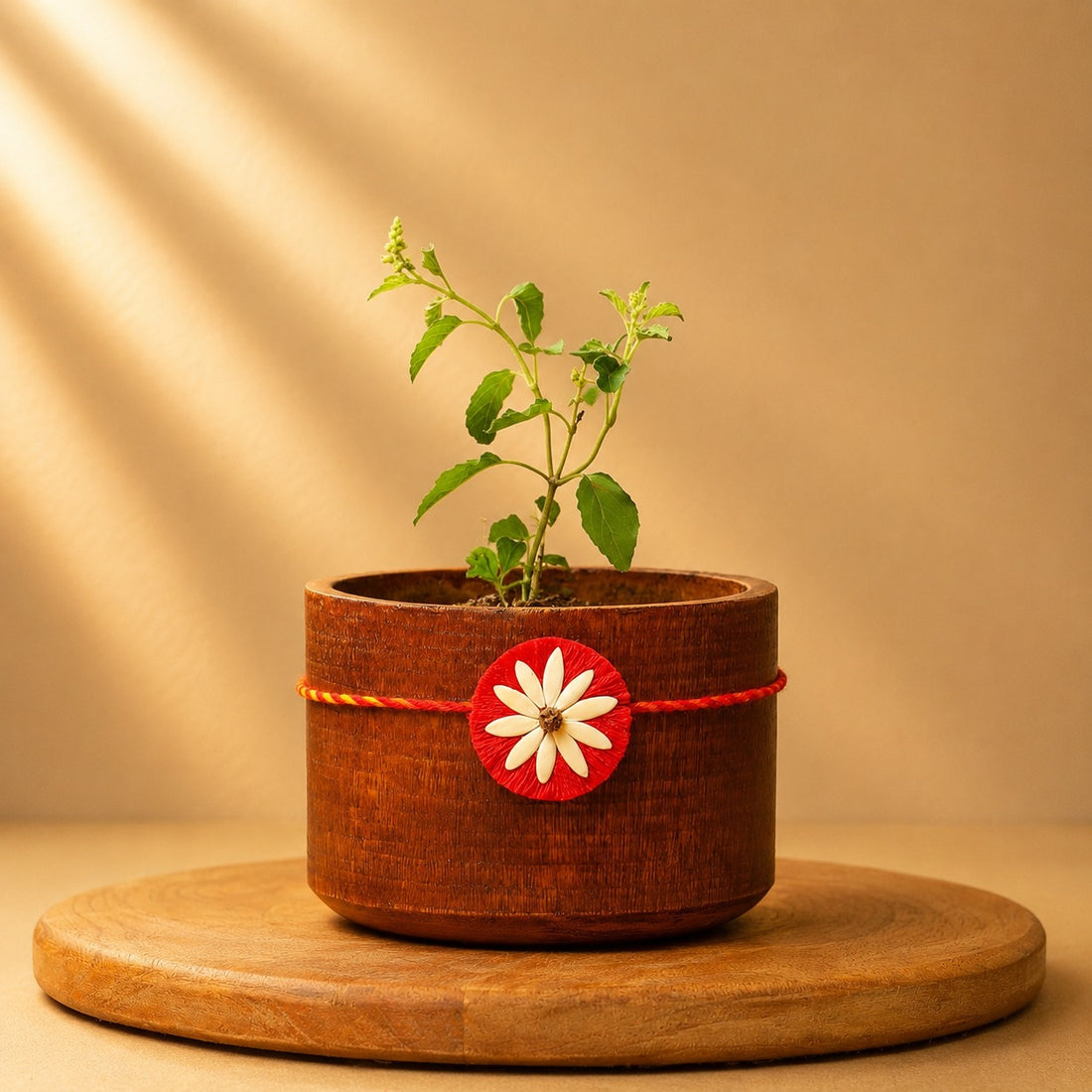 Beejbandhan Plantable Rakhi | Eco-Friendly | Soft on Skin | Grows Into Plant | Handmade in Banaras
