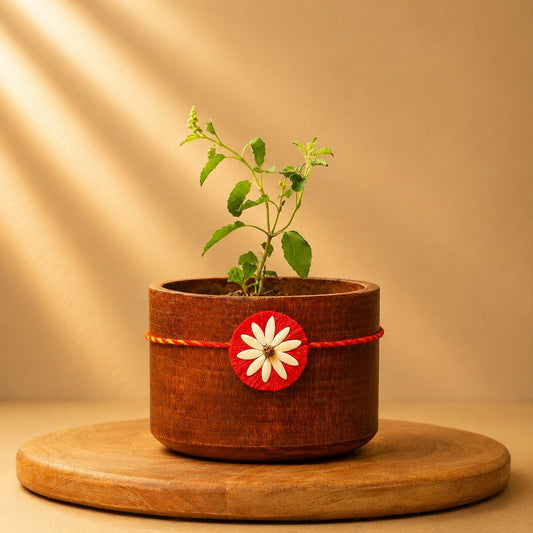 Beejbandhan Plantable Rakhi | Eco-Friendly | Soft on Skin | Grows Into Plant | Handmade in Banaras