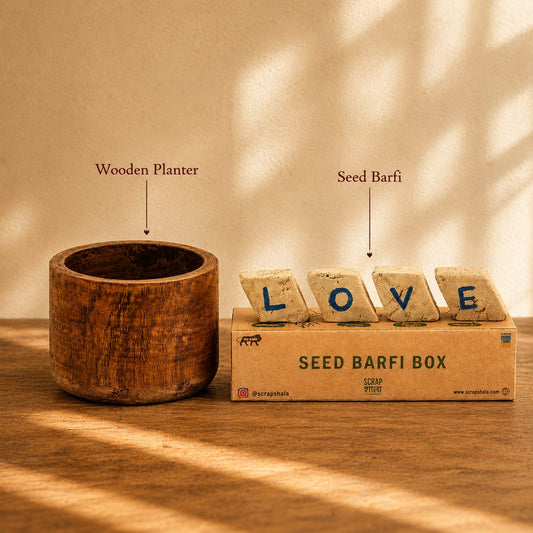 Seed Barfi Box | Eco-Friendly Plantable Gift Pack (Set of 4) | ScrapShala