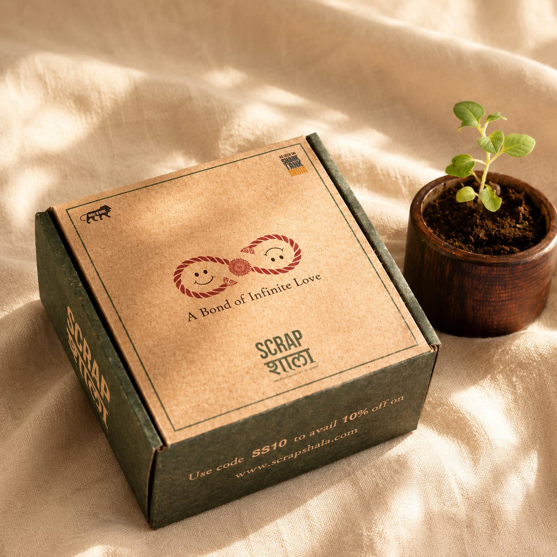 Akkad-Bakkad Premium Rakhi Box | Set of 2 plantable rakhi | Wooden planter | Planting material | Roli-Chawal | Seed ball | Greeting card | Handmade in Banaras