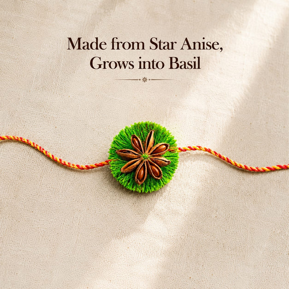 Sitara Plantable Rakhi | Eco-Friendly | Biodegradable | Handmade in Banaras | Grows Into a Plant