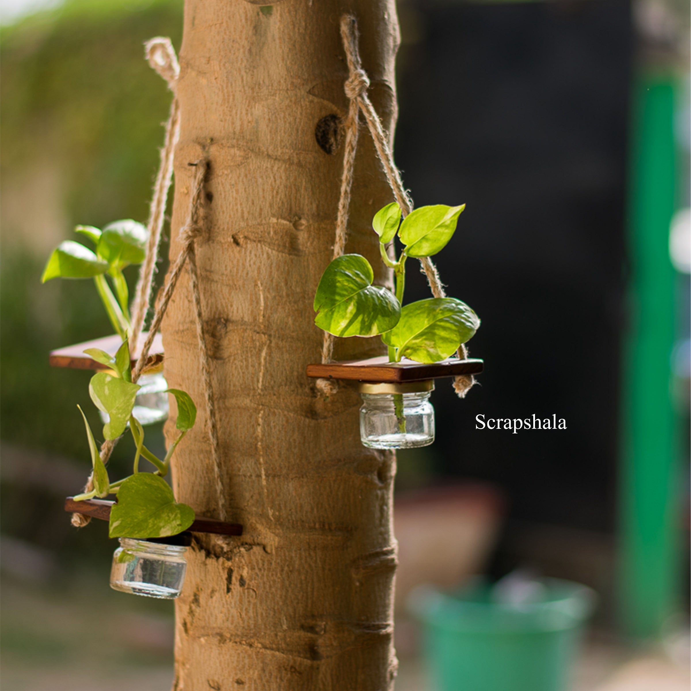 Mini Jar Hanging Planter | Strong hanging jute rope | Easy to open | Light weight | Upcycled | Scrapshala