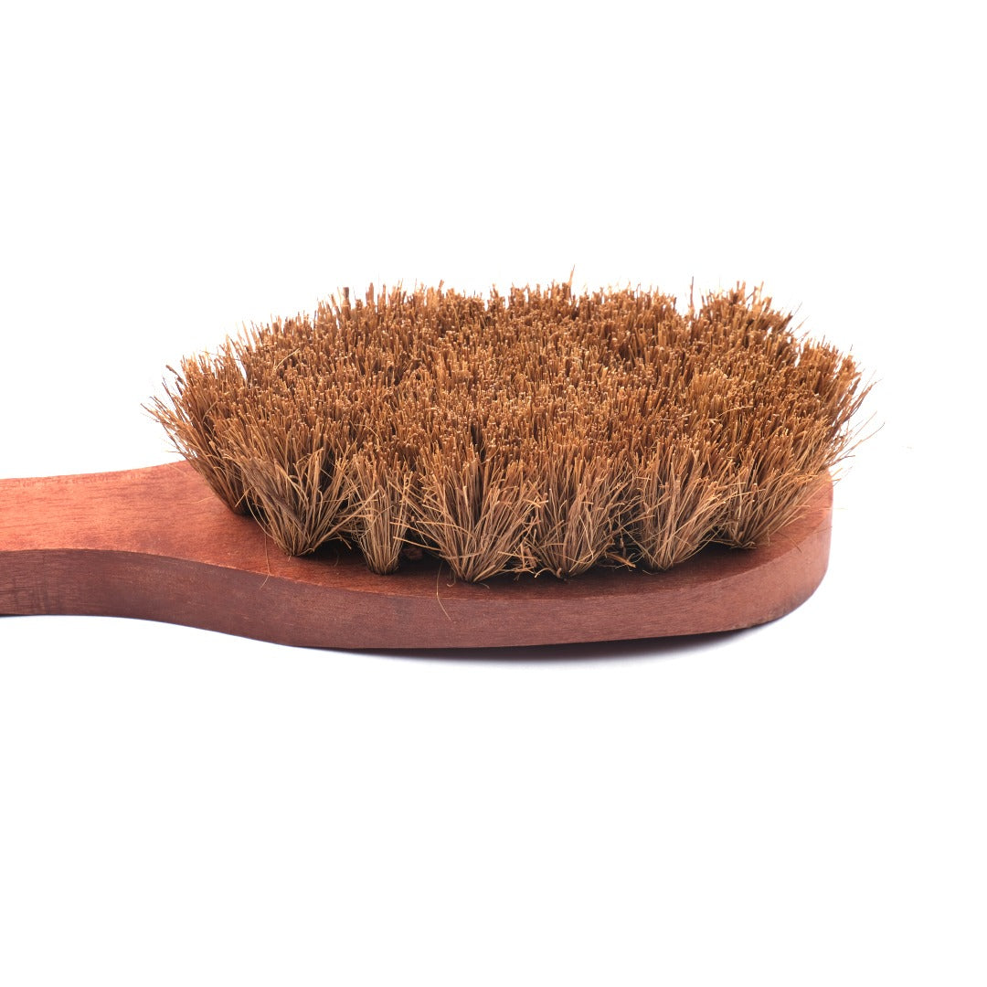 Coconut Coir Dry Body Brush | Sturdy | Biodegradable | Plastic-free | Scrapshala