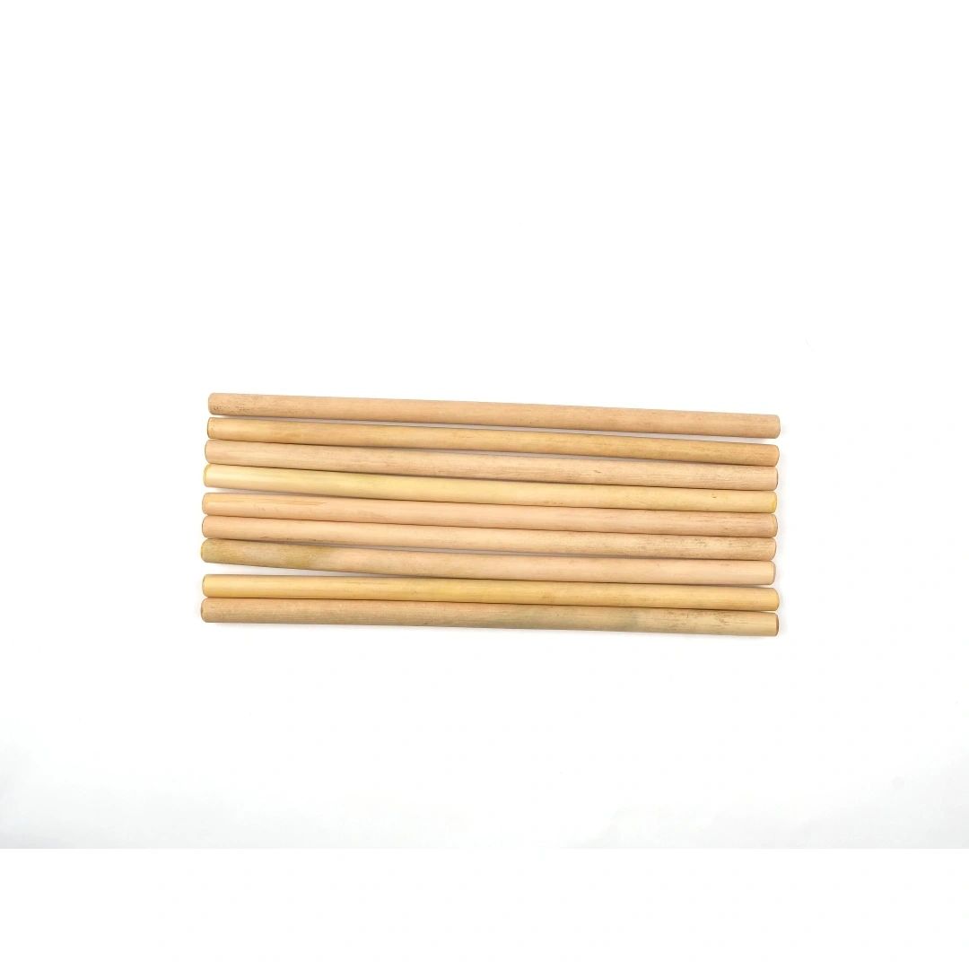 Bamboo Drinking Straws (Set of 10) | Reusable, Biodegradable & Eco-Friendly | With Straw Cleaner Brsuh & Cotton Pouch