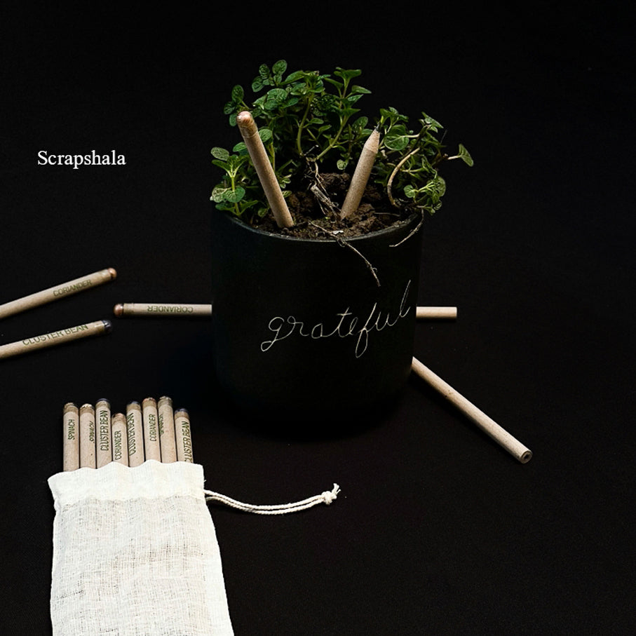 Plantable Pencil Pack | Set of 10 | 4 plantable seeds | Upcycled | Scrapshala